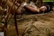A woman laying on the ground in the sand.